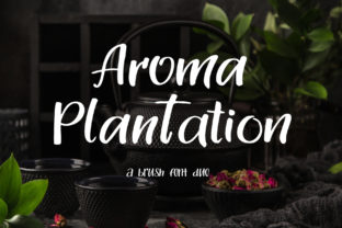 Aroma Plantation Duo Font: A Designer’s Branding Test
