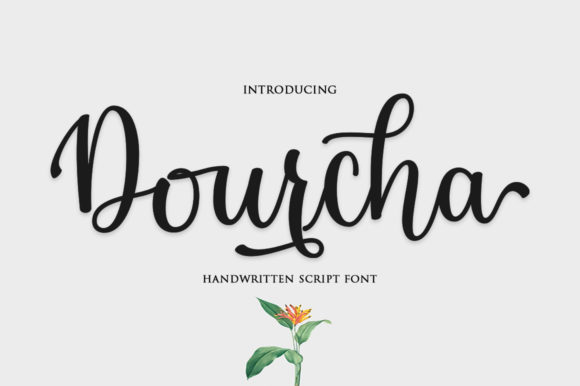 Dourcha Font Review: A Modern Script for Branding