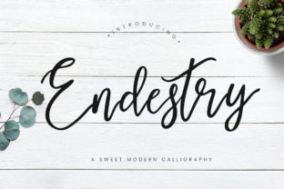 Endestry Font: Elevating Digital Brand Identity