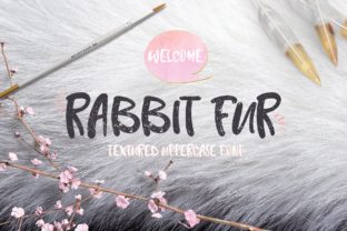 Rabbit Fur Font: Bold Editorial Typography