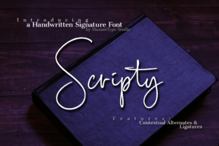Scripty Font Review: Handwritten Style for Campaigns